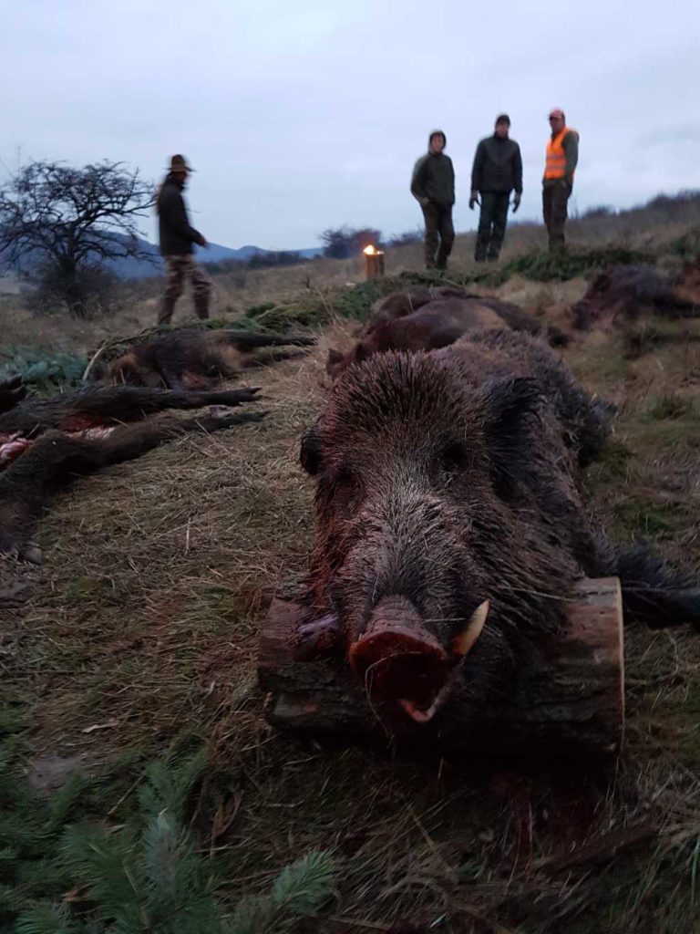 hunting in hungary 23