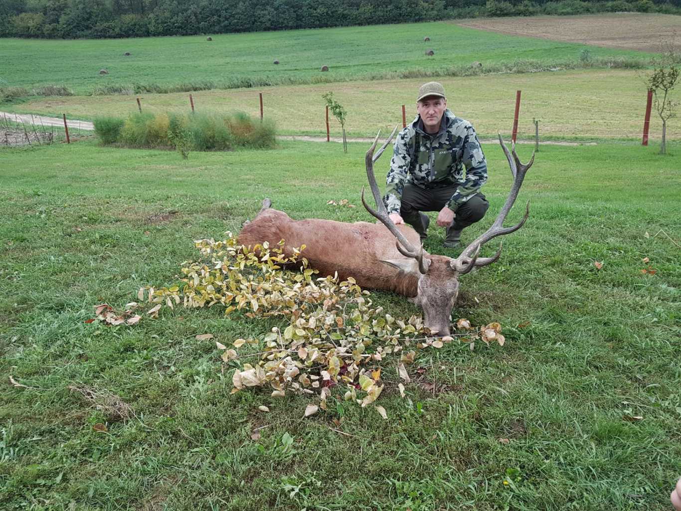 The best hunting and game photos Hunting in Hungary