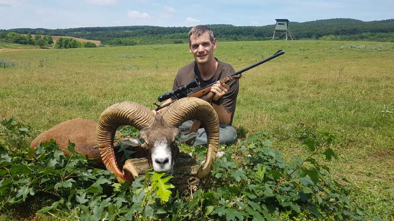 The best hunting and game photos Hunting in Hungary