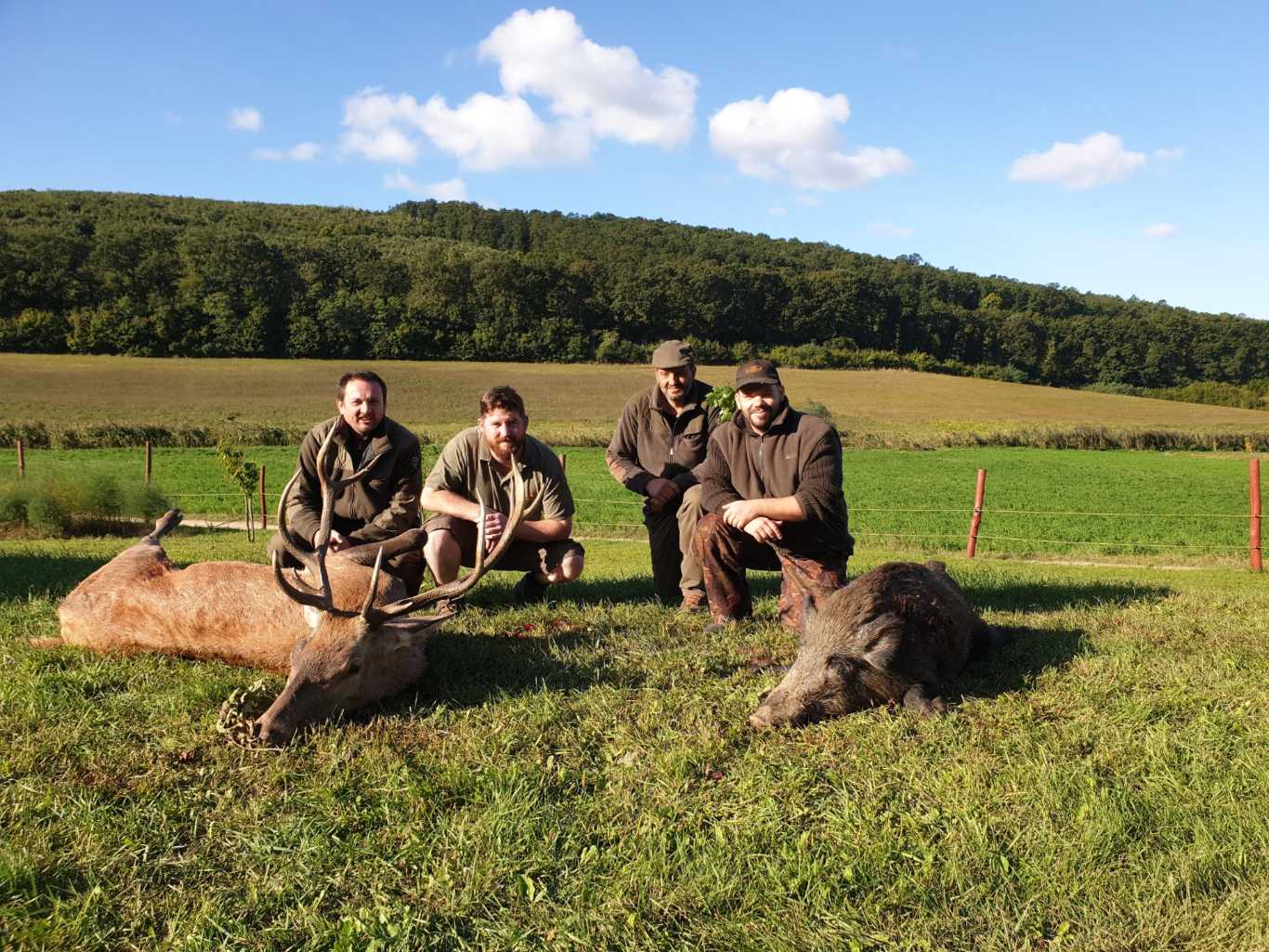 The best hunting and game photos Hunting in Hungary