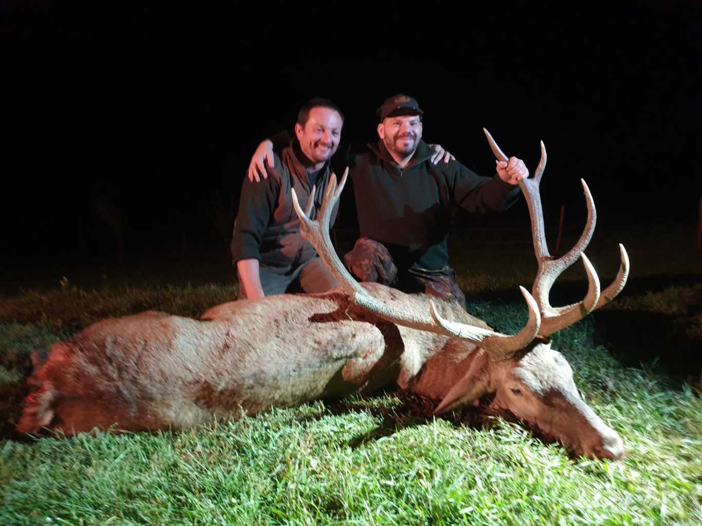 The best hunting and game photos Hunting in Hungary