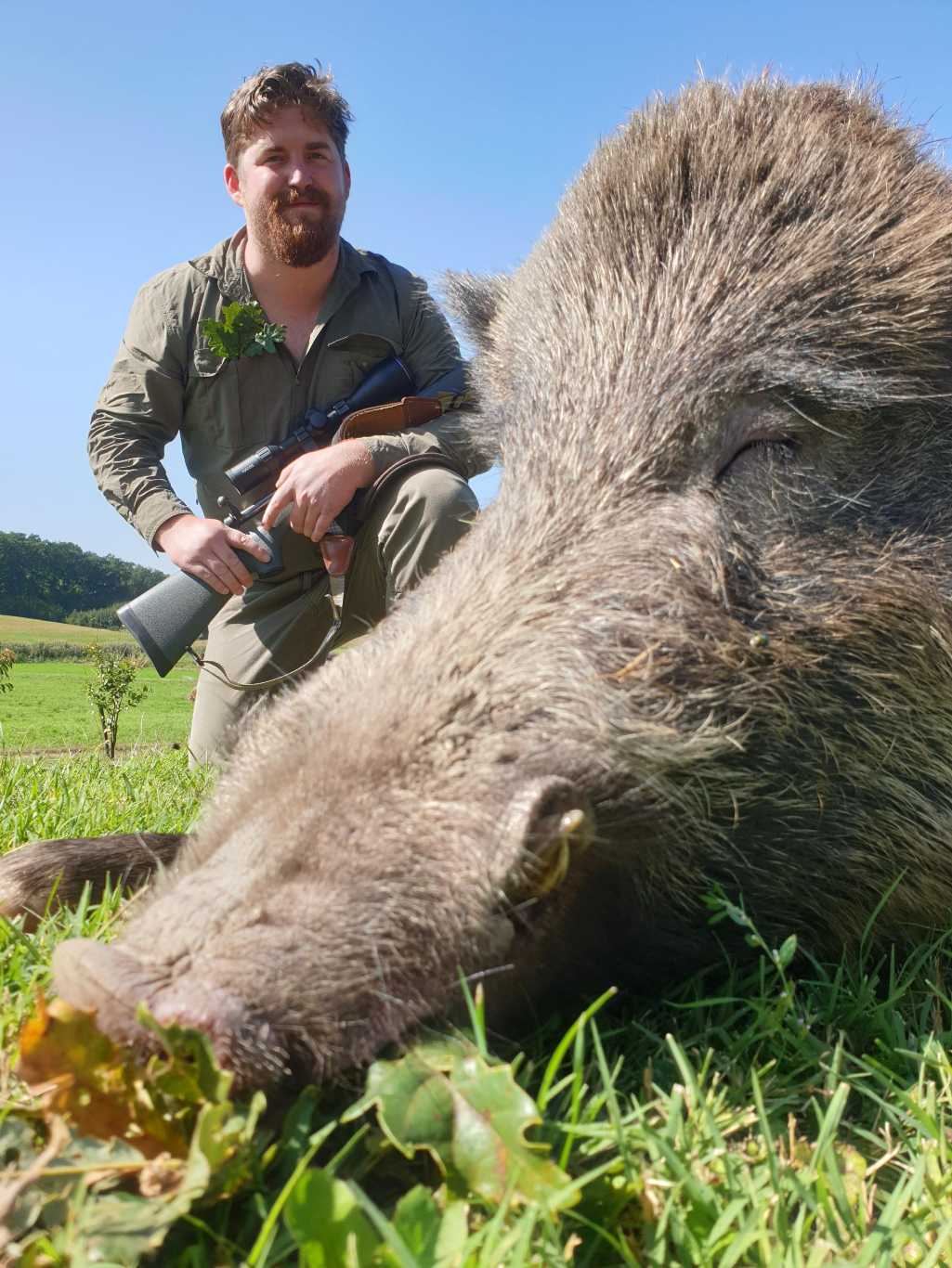 The best hunting and game photos Hunting in Hungary