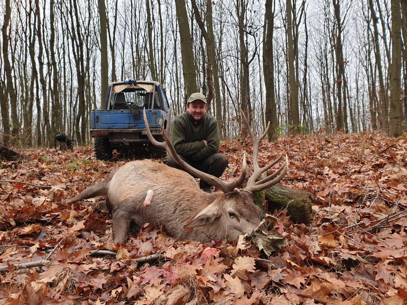 The best hunting and game photos Hunting in Hungary