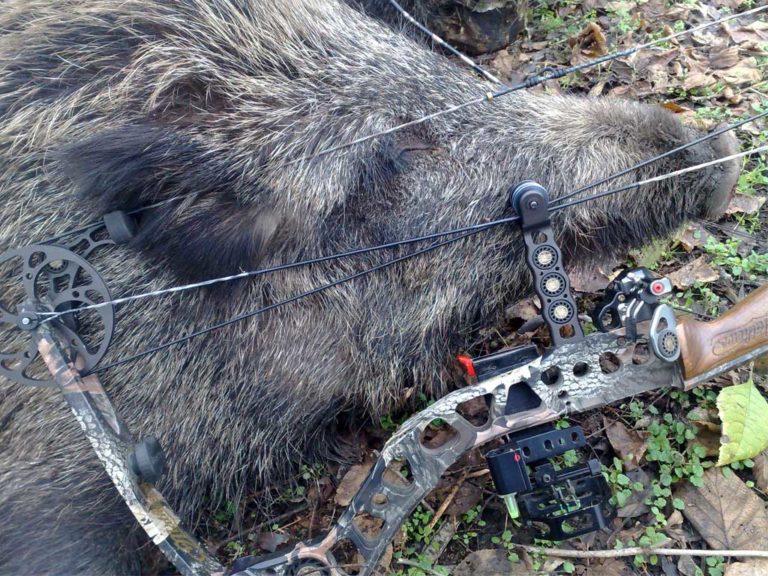 Bowhunting in Hungary
