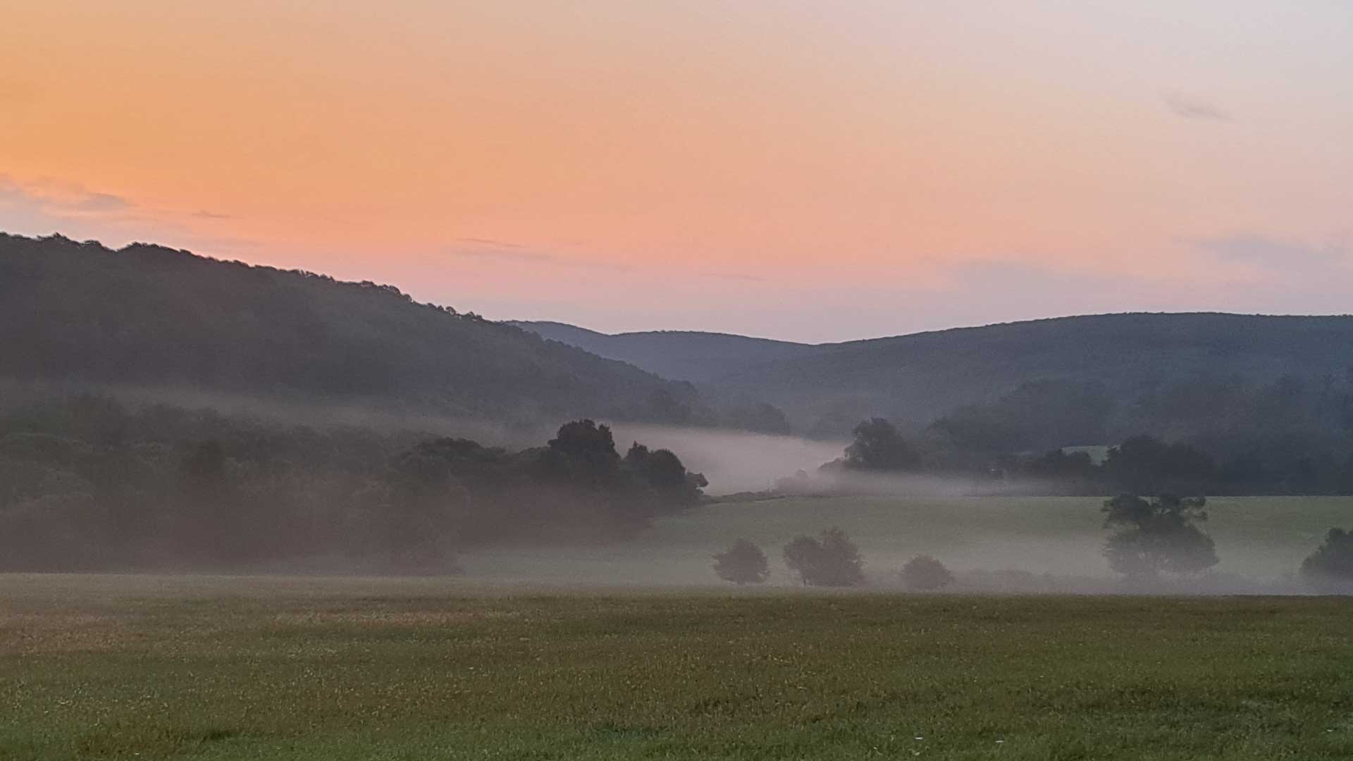 Hunting at sunrise in Hungary