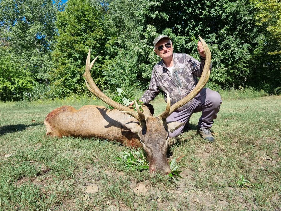 Hunter kneeling beside a trophy red deer stag in a summer forest in Hungary