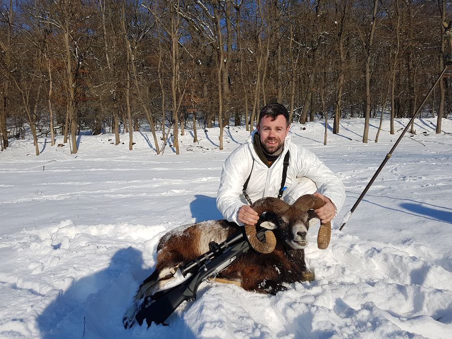 Hunter kneeling beside a trophy Mouflon ram in snow during winter in Hungary