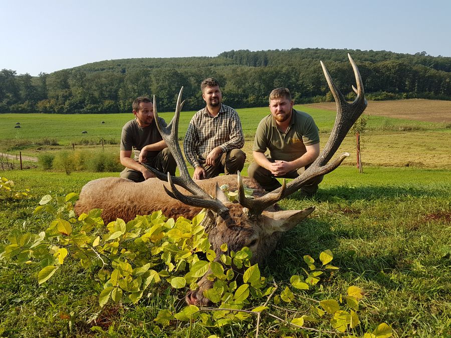 Three hunters kneeling beside a trophy red deer stag on a golden-hour hillside in Hungary
