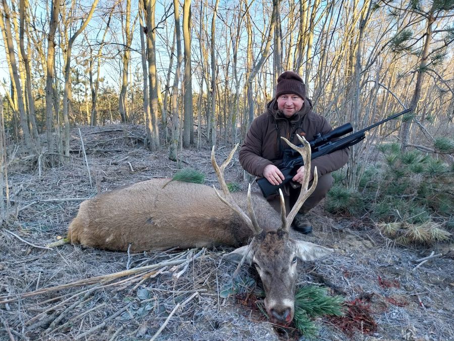 Hunter with cull red stag trophy at South Estate, Hungary