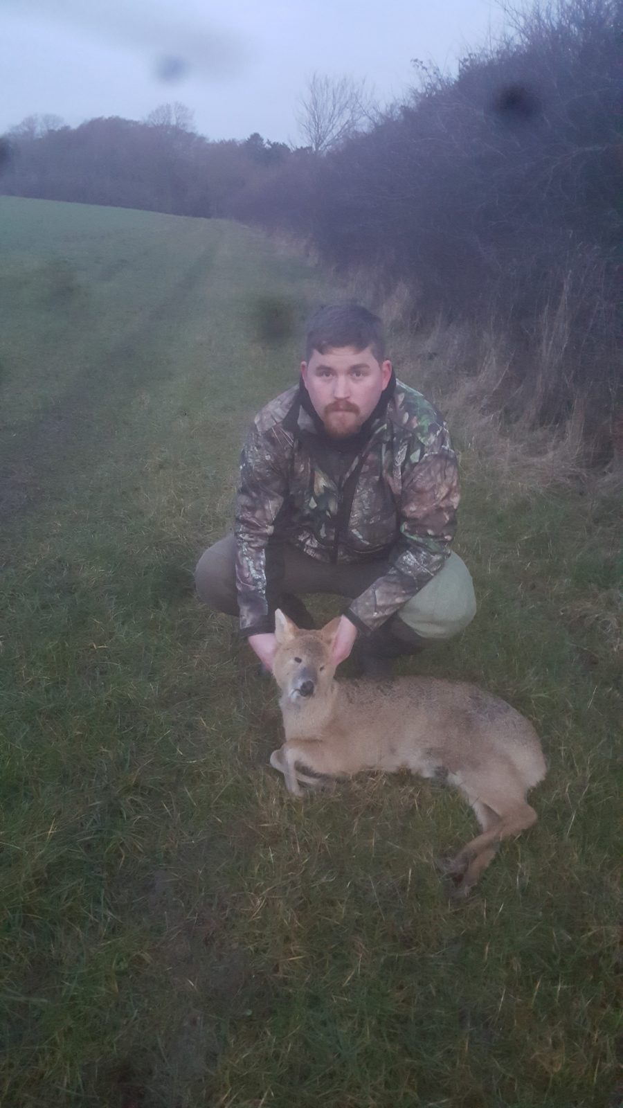 Hunter with a muntjac buck on the Huntingdon Estate, England
