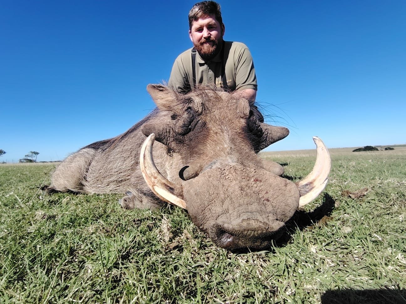 Namibia warthog madness hunting safari with HH Hunting photo 1