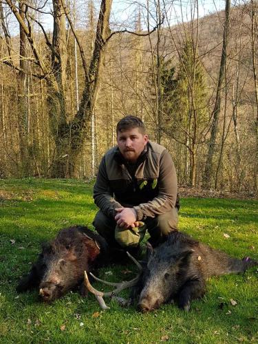 boar-hunting-in-hungary