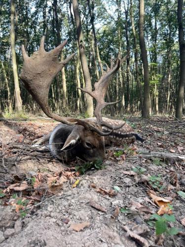 bow-Hunting-in-Hungary-2024-6