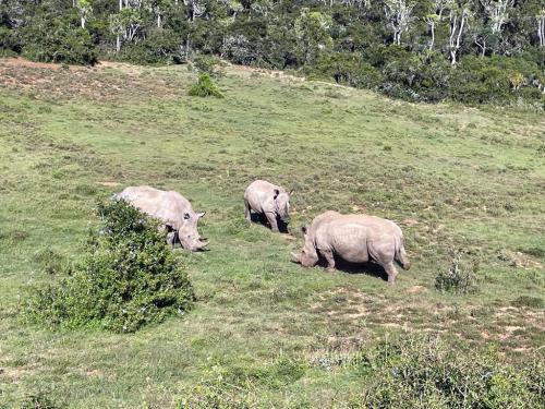 hunting-in-africa-2024-001