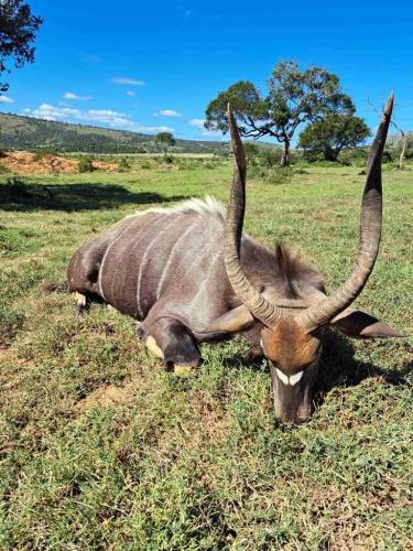 hunting-in-africa-2024-010