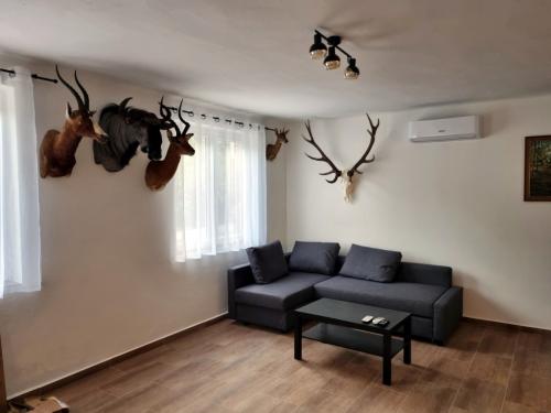 Hunting-in-Hungary-2024-002