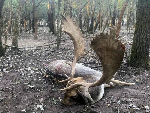 Hunting-in-Hungary-2024-015