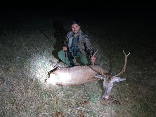 Hunting-in-Hungary-2024-020